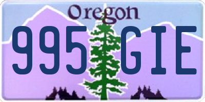 OR license plate 995GIE