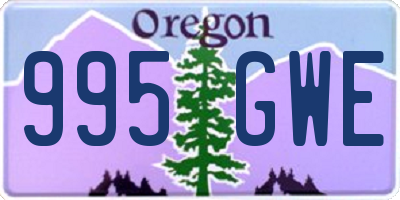 OR license plate 995GWE