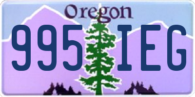 OR license plate 995IEG