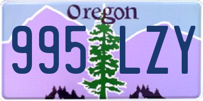 OR license plate 995LZY