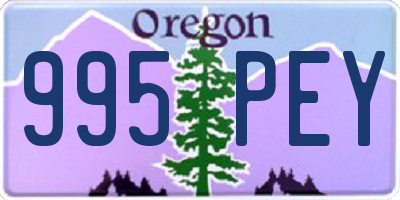 OR license plate 995PEY