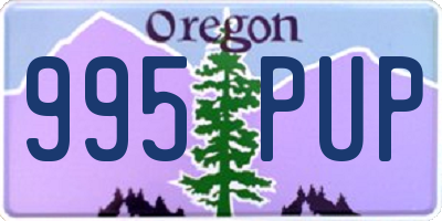 OR license plate 995PUP