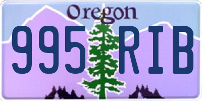 OR license plate 995RIB