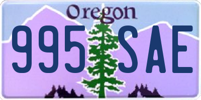 OR license plate 995SAE