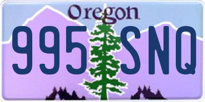 OR license plate 995SNQ