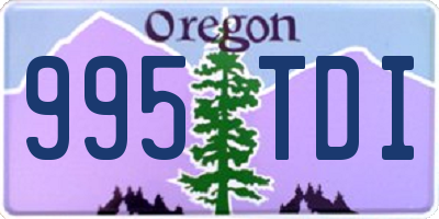 OR license plate 995TDI