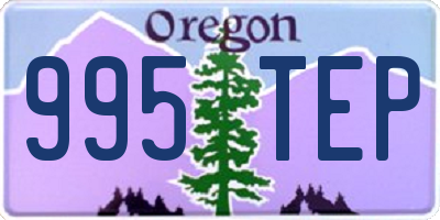 OR license plate 995TEP