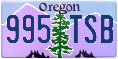 OR license plate 995TSB