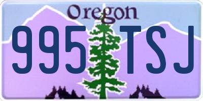 OR license plate 995TSJ