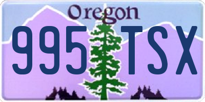 OR license plate 995TSX