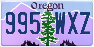 OR license plate 995WXZ