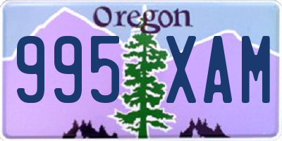 OR license plate 995XAM