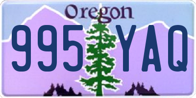 OR license plate 995YAQ