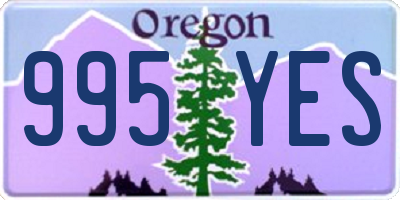 OR license plate 995YES