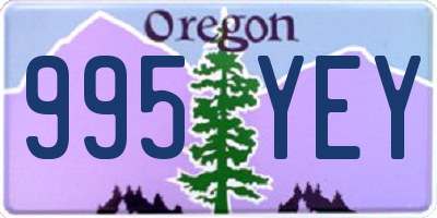 OR license plate 995YEY