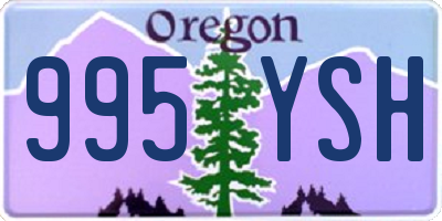 OR license plate 995YSH