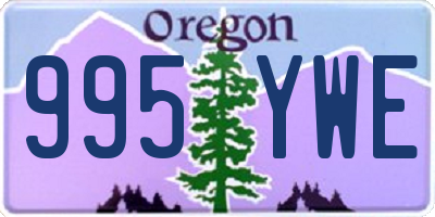 OR license plate 995YWE