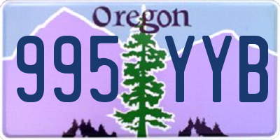 OR license plate 995YYB