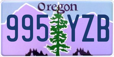 OR license plate 995YZB