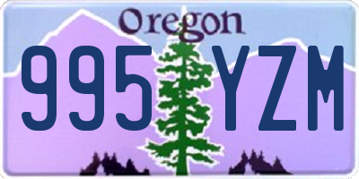 OR license plate 995YZM