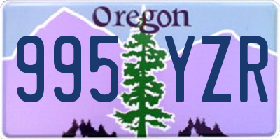 OR license plate 995YZR