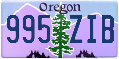 OR license plate 995ZIB