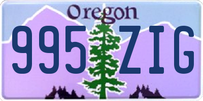 OR license plate 995ZIG