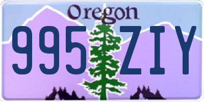 OR license plate 995ZIY