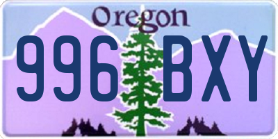 OR license plate 996BXY