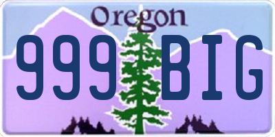 OR license plate 999BIG