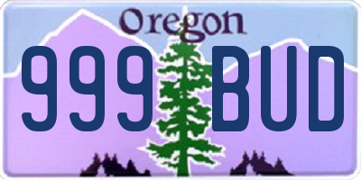 OR license plate 999BUD