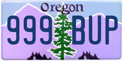 OR license plate 999BUP