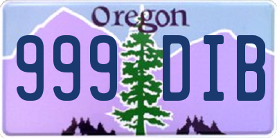 OR license plate 999DIB