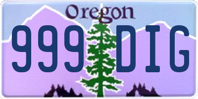 OR license plate 999DIG