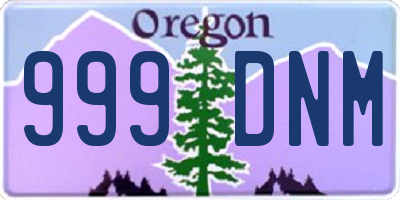 OR license plate 999DNM