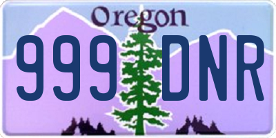 OR license plate 999DNR
