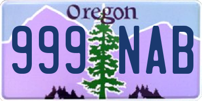 OR license plate 999NAB