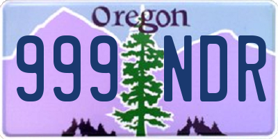 OR license plate 999NDR