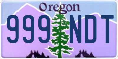 OR license plate 999NDT