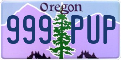 OR license plate 999PUP