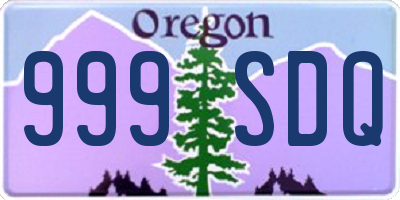 OR license plate 999SDQ