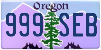 OR license plate 999SEB