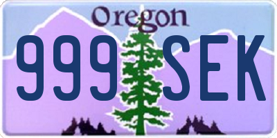 OR license plate 999SEK