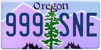 OR license plate 999SNE