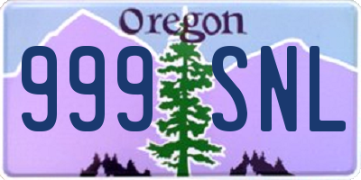 OR license plate 999SNL