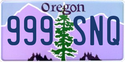 OR license plate 999SNQ