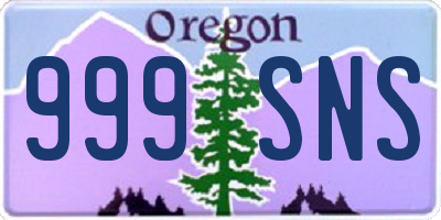 OR license plate 999SNS