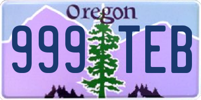 OR license plate 999TEB