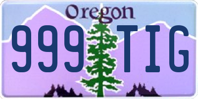 OR license plate 999TIG