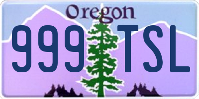 OR license plate 999TSL